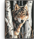 Painting by Numbers Wolf in The Birch forest