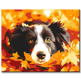 Painting by Numbers Dog in The Bed of Leaves
