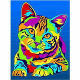 Paint by Numbers Cat in Rainbow Colors Animal Art