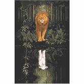 Painting by Numbers Lion and Lamb Animals Reflection Animal Art