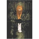 Painting by Numbers Lion and Lamb Animals Reflection Animal Art