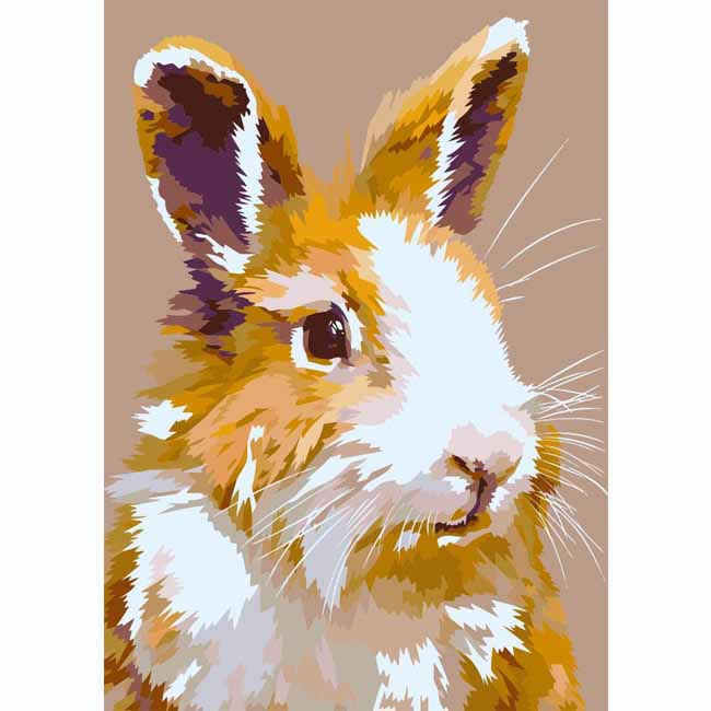 Paint by Numbers Rabbit Animals Animal Art