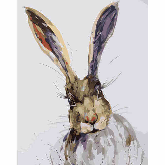 Painting by numbers rabbit portrait