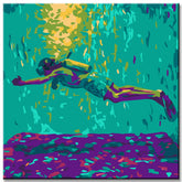 Painting by Numbers The Diver
