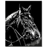 Painting by Numbers Rodeo Horse