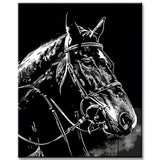Painting by Numbers Rodeo Horse
