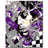 Paint by numbers pop singer