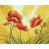Paint by Numbers for Adults Poppies