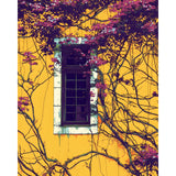 Paint by Numbers Climbing Plant Purple