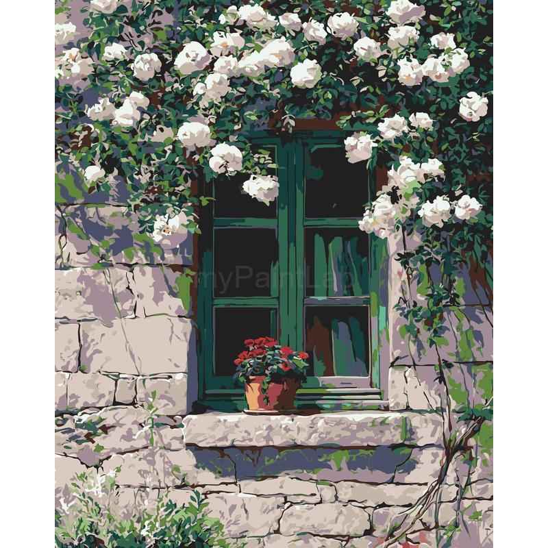 Painting by Numbers Climbing Plant White
