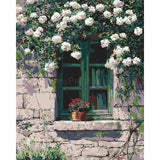 Painting by Numbers Climbing Plant White