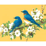 Painting by Numbers Birds on Flower Vine