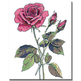 Painting by Numbers Pictures Rose Branch