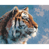 Painting by Numbers Pictures Tiger Animals