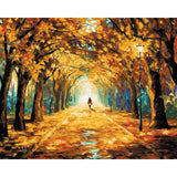 Painting by Numbers Pictures Walking with Dog