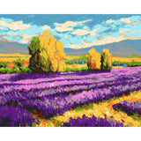 Painting by Numbers Flowers Lavender Field in Front of Village