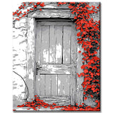 Painting by Numbers Pictures Old Door with Flower Tendrils