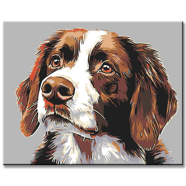 Painting by Numbers Dogs Irish Setter