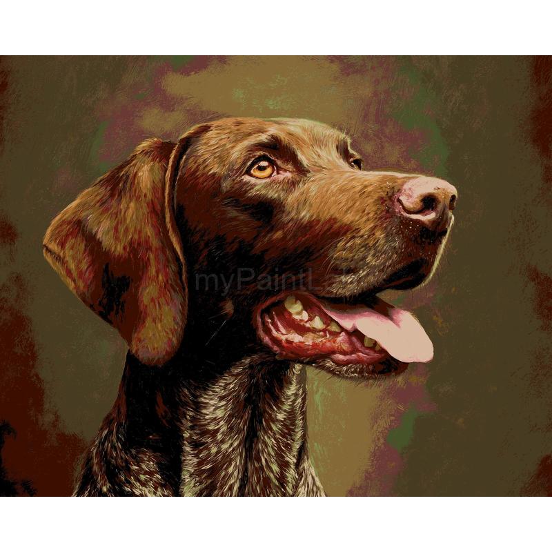 Painting by Numbers Cocker Spaniel
