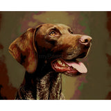 Painting by Numbers Cocker Spaniel