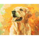 Painting by Numbers Dog Beige Labrador