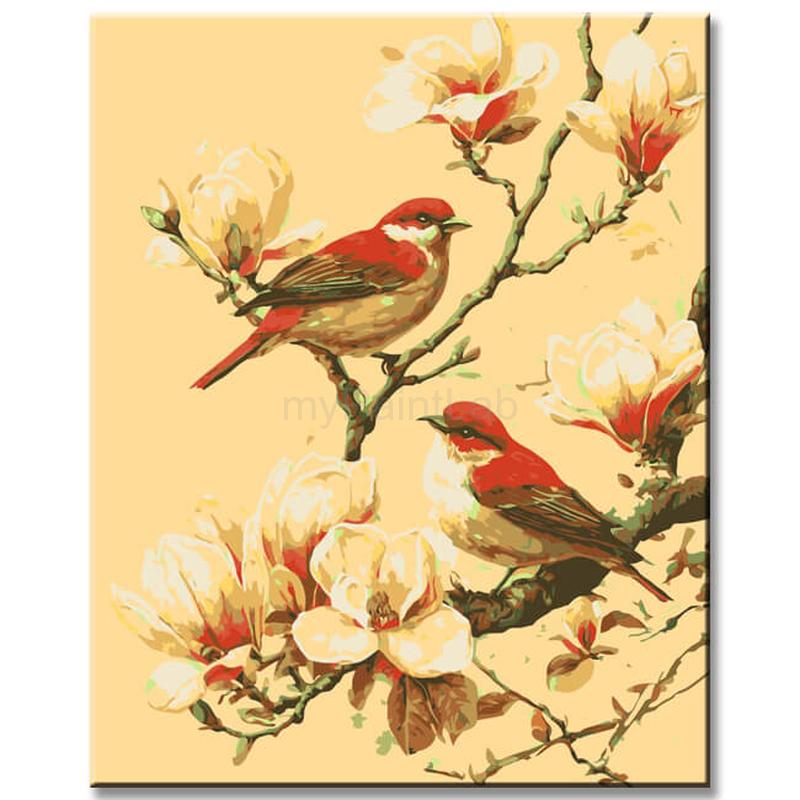 Painting by Numbers Birds and Flowers