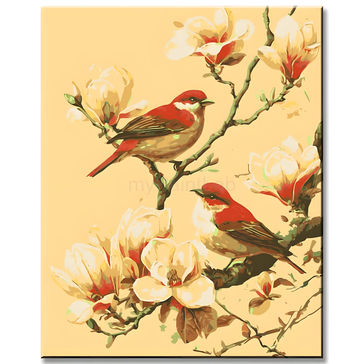 Painting by Numbers Birds and Flowers