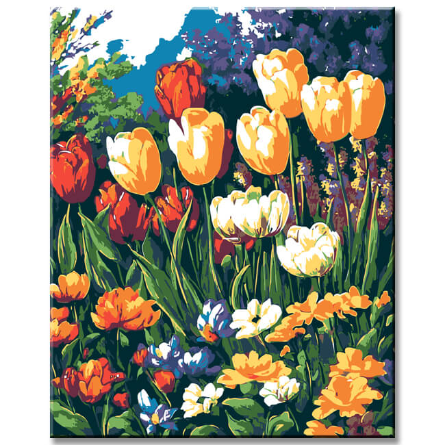 Painting by Numbers Pictures of Colorful Flower Meadows