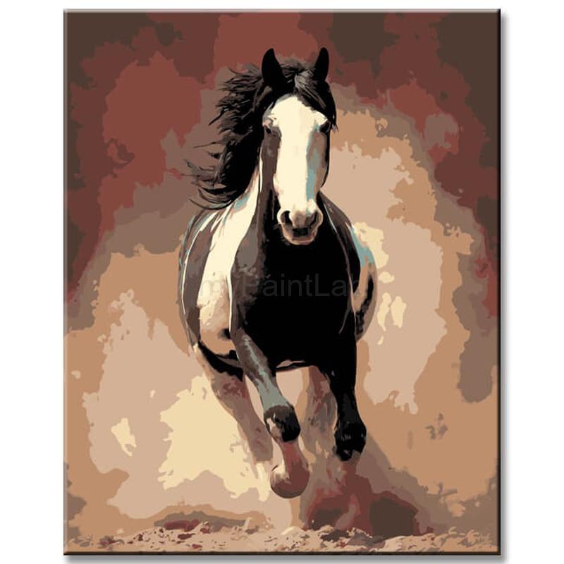 Painting by Numbers Horses Black White Horse