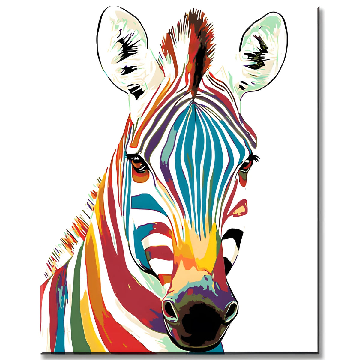 Painting by Numbers Animals Zebra in Rainbow Colors