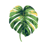 Paint by Numbers Plant
