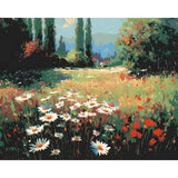 Painting by Numbers Daisy Meadow