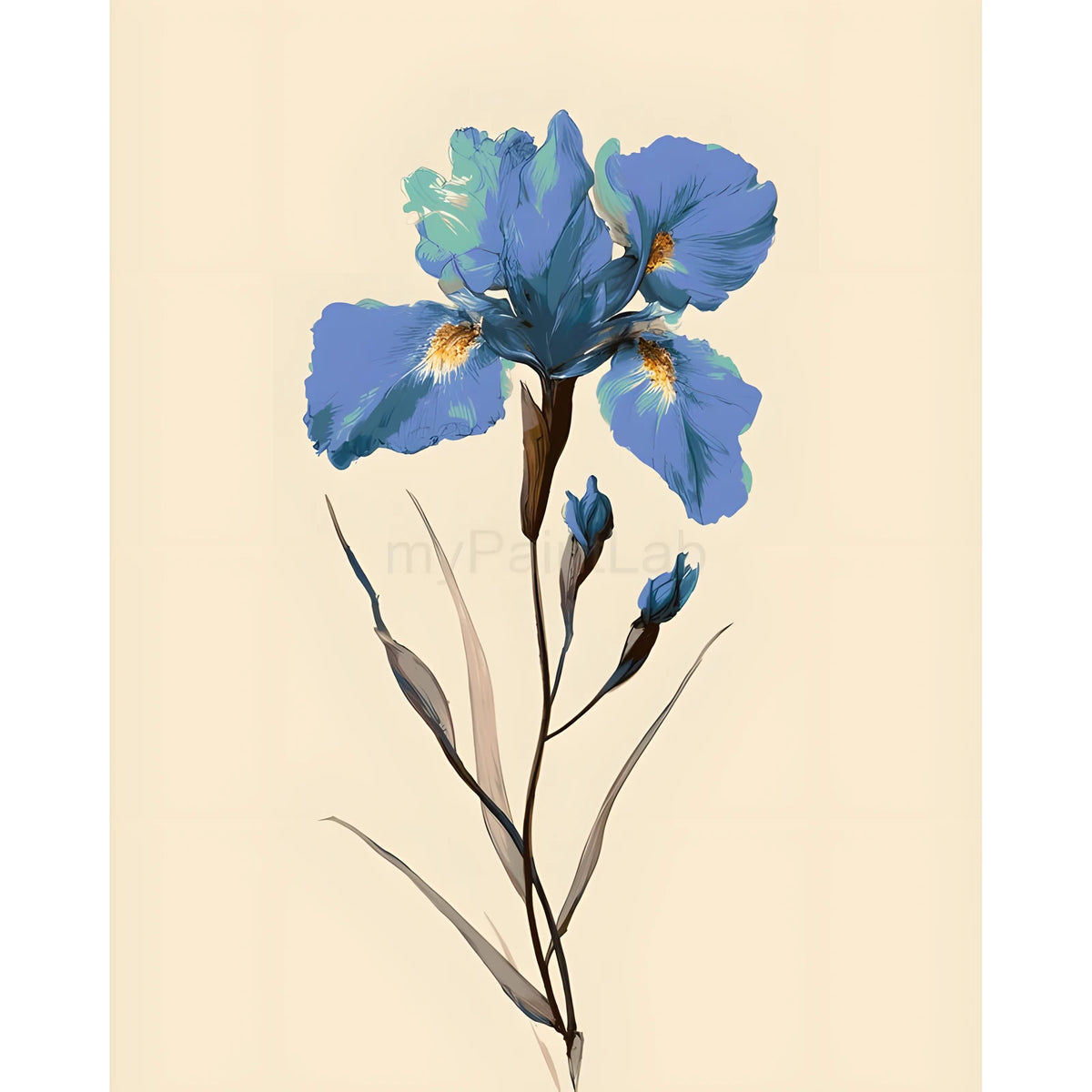 Painting by Numbers for Adults Flowers Irises