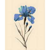 Painting by Numbers for Adults Flowers Irises