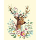 Paint by Numbers for Adults Animals Moose Hawaii