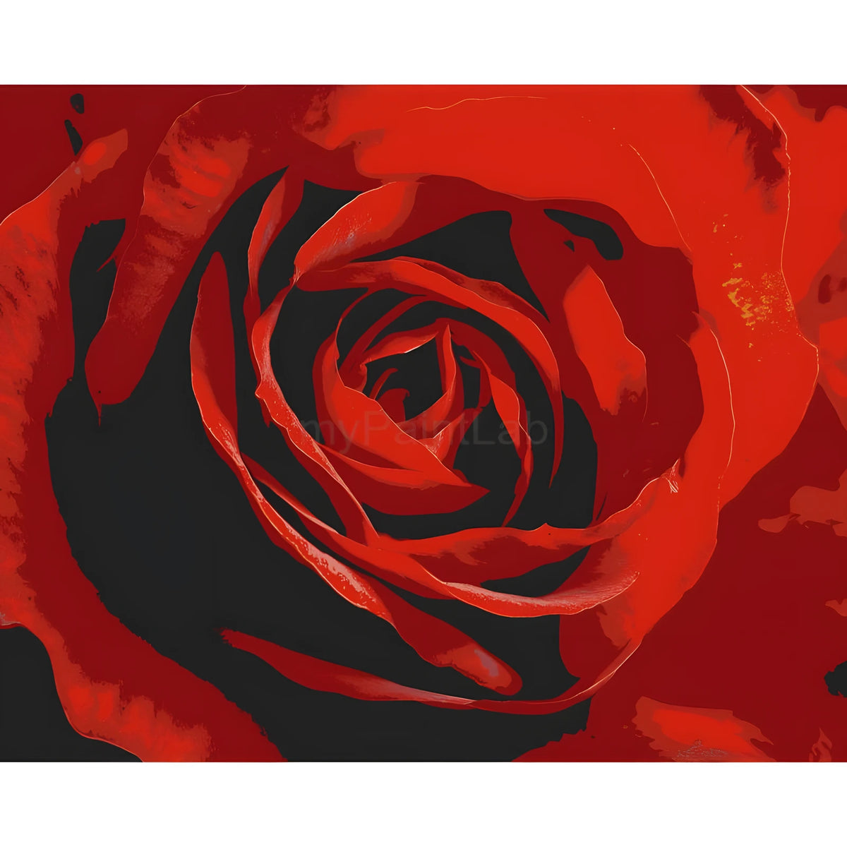 Paint by Numbers for Adults Rose