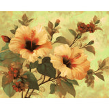Paint by Numbers for Adults Orchids