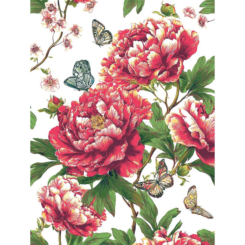 Painting by Numbers Carnations with Butterfly