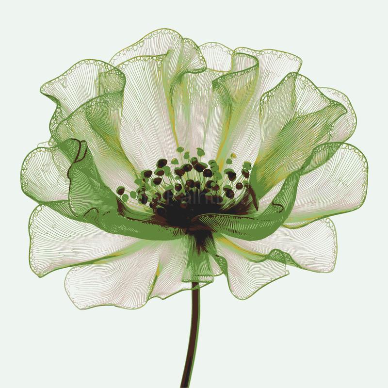 Painting by Numbers Green Flower