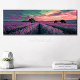 Painting by Numbers Lavender Field