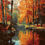 Painting by Numbers forest Stream