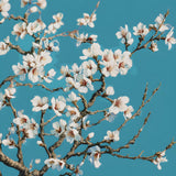 Painting by Numbers Flowers