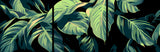 Paint by Numbers Green Leaves Canvas Wall Art - 3-panel