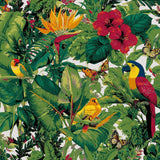 Painting by Numbers Butterfly Jungle