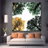Paint by Numbers Deciduous forest