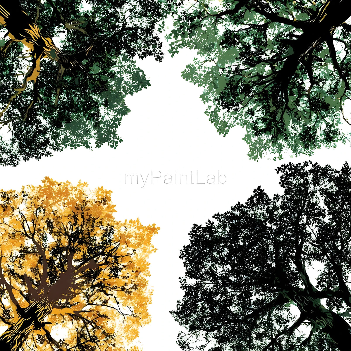 Paint by Numbers Deciduous forest