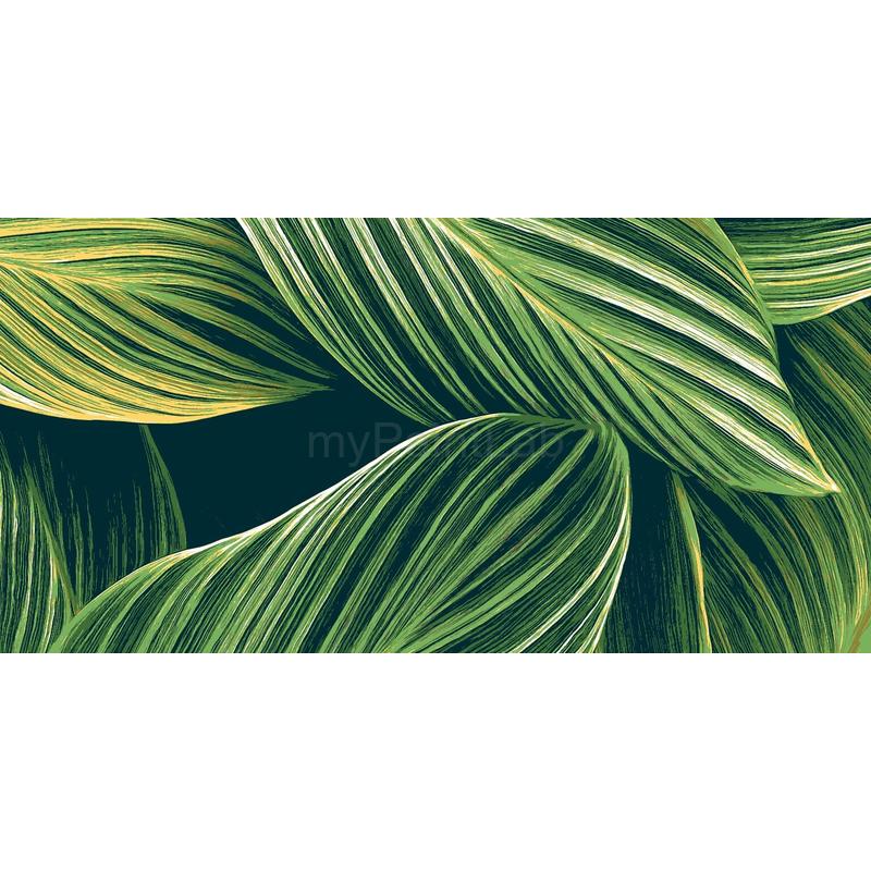 Paint by Numbers Plants Art Leaves