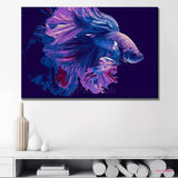 Painting by Numbers Siamese Fighting Fish