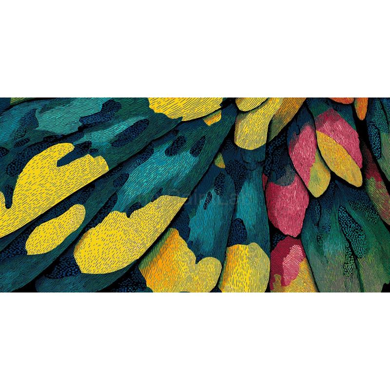 Paint by Numbers Feathers