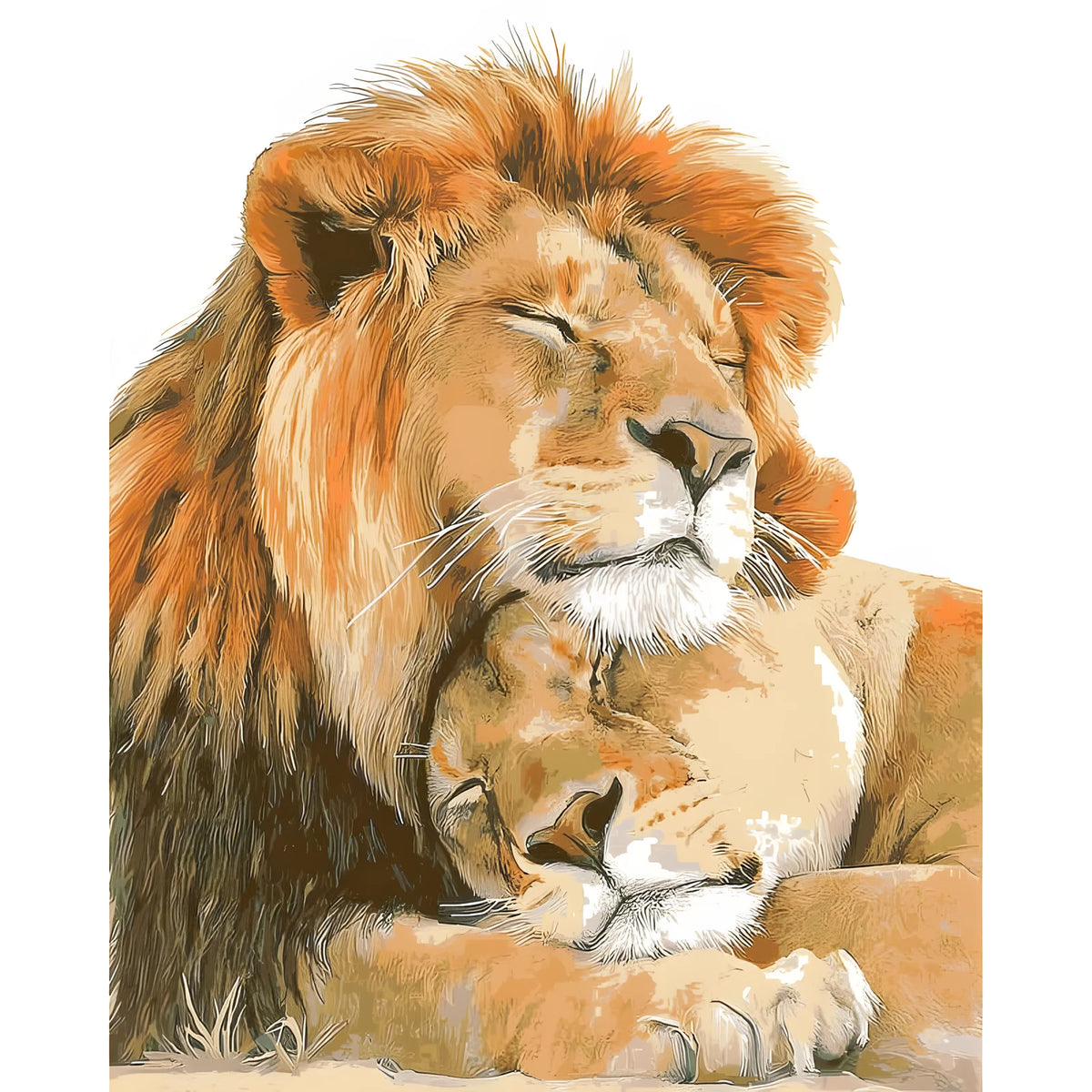 Painting by Numbers Lions Couple Animals Animal Art